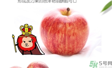 姬娜果是什么？姬娜果的功效作用