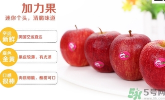 姬娜果是什么？姬娜果的功效作用