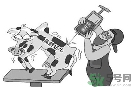 感冒一天吃6片抗生素有危害嗎？抗生素屬于激素類藥物嗎？