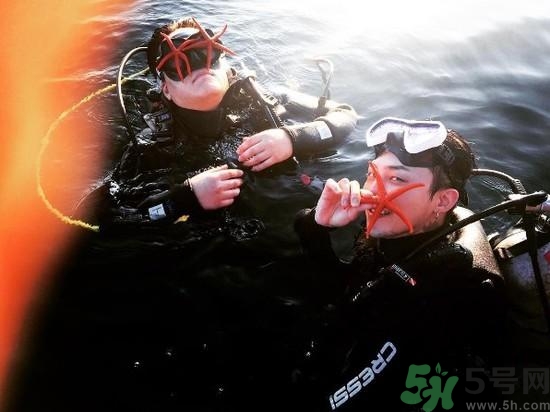 海星可以離開水嗎？海星離開水還可以活多久？