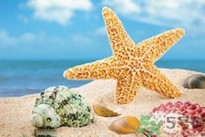 海星可以離開水嗎？海星離開水還可以活多久？