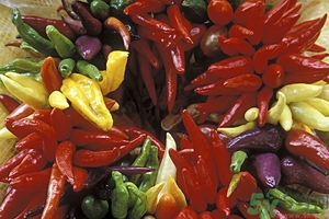 辣椒的熱量高嗎?辣椒的熱量是多少 辣椒的熱量高嗎?辣椒的熱量是多少