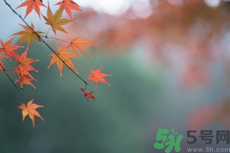 秋老虎如何謹(jǐn)防皮膚病？秋老虎如何預(yù)防皮膚病？