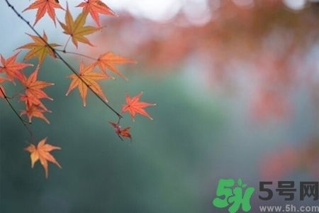 秋天換季病有哪些？秋天該如何保健養(yǎng)生呢？