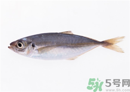 吃鱈魚有什么好處?鱈魚的功效與作用 吃鱈魚有什么好處?鱈魚的功效與作用