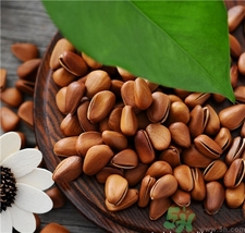 孕婦可以吃松子嗎?孕婦吃松子有什么好處? 孕婦可以吃松子嗎?孕婦吃松子有什么好處?