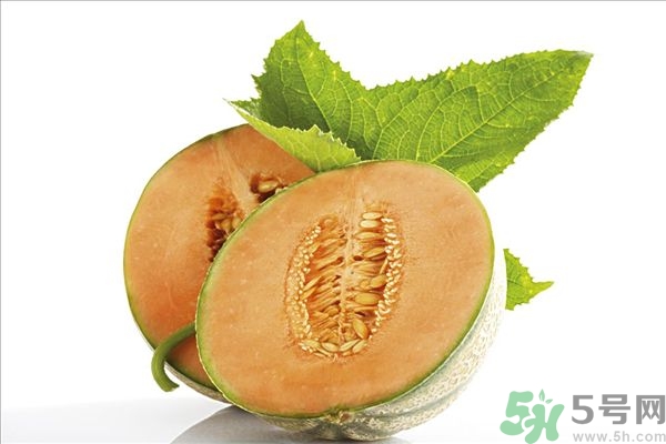 哈密瓜榨汁要加水嗎？哈密瓜榨汁搭配什么？