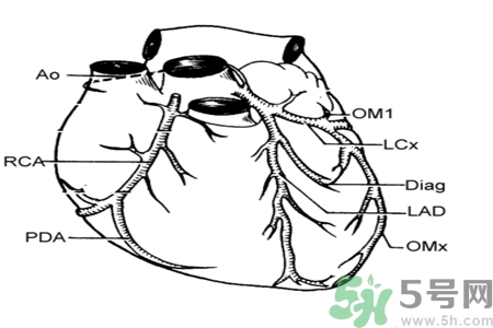 長期酗酒會引起心絞痛嗎？引起心絞痛的原因有哪些？