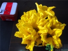 吃南瓜花有什么好處?南瓜花的功效與作用 吃南瓜花有什么好處?南瓜花的功效與作用