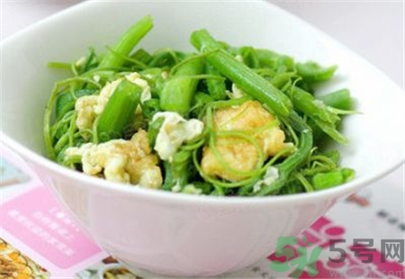 孕婦可以吃南瓜花嗎?孕婦吃南瓜花好嗎 孕婦可以吃南瓜花嗎?孕婦吃南瓜花好嗎