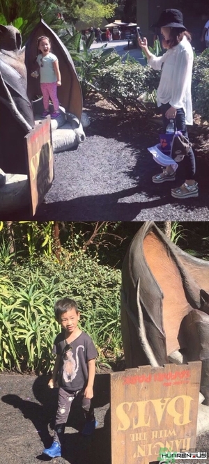 王寶強(qiáng)老婆馬蓉在美國(guó)嗎？婚姻中攜款逃跑受什么處罰？