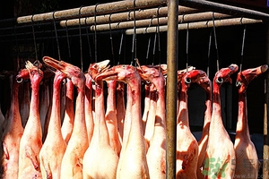 吃鴨肉會(huì)長胖嗎?鴨肉的熱量是多少 吃鴨肉會(huì)長胖嗎?鴨肉的熱量是多少