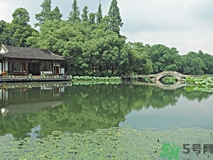 菱角是什么？菱角是什么季節(jié)成熟的？