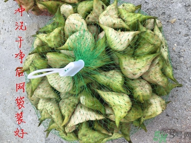 菱角和豬肉能一起吃嗎？菱角和什么不能一起吃？