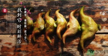 菱角和豬肉能一起吃嗎？菱角和什么不能一起吃？