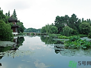 菱角是什么？菱角是什么季節(jié)成熟的？