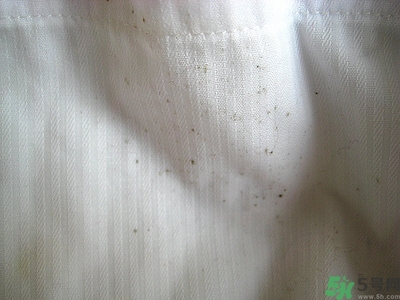 衣服長黑點怎么洗掉？衣服上長霉點怎么去除？