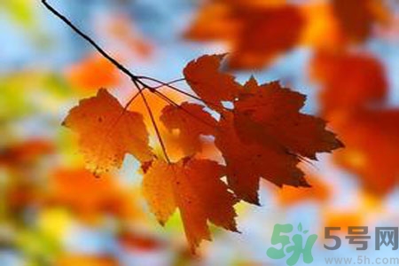 秋燥的表現(xiàn)是什么？小孩如何預(yù)防秋燥？