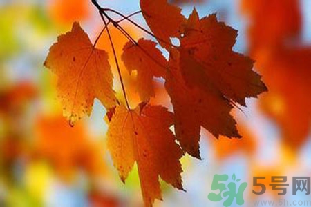 女性秋季防燥需注意哪些？女性秋季防燥吃什么？