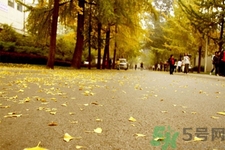 女性秋季防燥需注意哪些？女性秋季防燥吃什么？