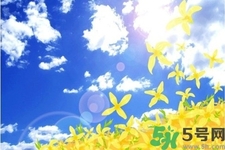 立秋潤肺可以吃什么食物？秋天潤肺可以吃的水果有哪些？