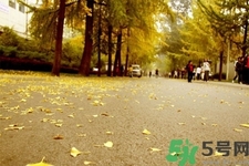 立秋潤(rùn)肺可以吃什么食物？秋天潤(rùn)肺可以吃的水果有哪些？