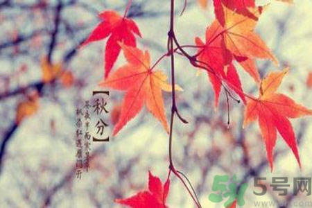 立秋潤肺可以吃什么食物？秋天潤肺可以吃的水果有哪些？