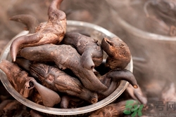 菱角怎么煮好吃?煮菱角要放鹽嗎 菱角怎么煮好吃?煮菱角要放鹽嗎