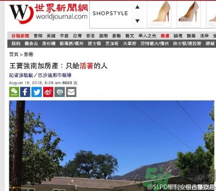 王寶強車禍和馬蓉有關(guān)嗎？發(fā)生車禍怎么辦？