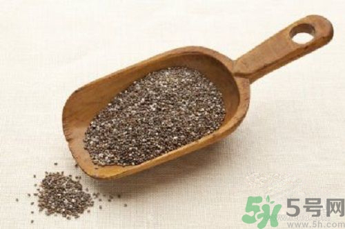 奇亞籽是什么？奇亞籽的功效作用