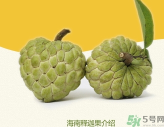 釋迦果怎么吃？釋迦的營養(yǎng)價值功效作用