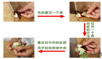 菱角懷孕可以吃嗎？孕婦能吃菱角嗎？