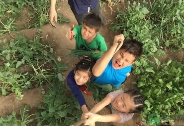 口吃怎么克服？口吃和舌頭有關系嗎？