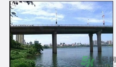 從多高的地方跳水會受傷？從多高的地方跳水會死亡？