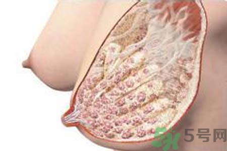 乳腺增生可以懷孕嗎？如何預(yù)防乳腺增生？