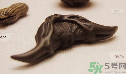 菱角可以炒肉吃嗎?菱角炒肉怎么做 菱角可以炒肉吃嗎?菱角炒肉怎么做