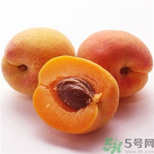 杏子和梅子的區(qū)別是什么?杏子和梅子哪個更好吃? 杏子和梅子的區(qū)別是什么?杏子和梅子哪個更好吃?