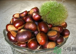 生板栗干了怎么辦?板栗干了還能吃嗎 生板栗干了怎么辦?板栗干了還能吃嗎