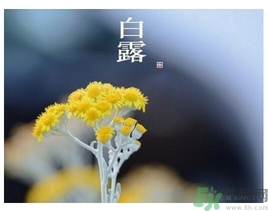 白露身不露是什么意思？白露還熱嗎？