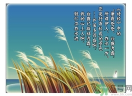 白露喝什么茶？白露養(yǎng)生茶飲推薦