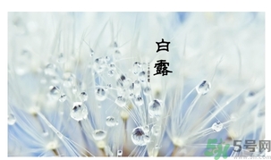 白露吃什么好？白露食療