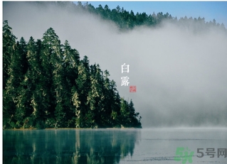 白露吃什么好？白露食療