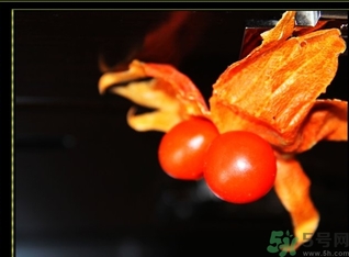 紅姑娘的功效作用 紅姑娘的營養(yǎng)價(jià)值 紅姑娘的功效作用 紅姑娘的營養(yǎng)價(jià)值