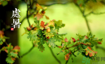 處暑如何養(yǎng)生？處暑養(yǎng)生要注意什么？