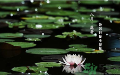 處暑如何養(yǎng)生？處暑養(yǎng)生要注意什么？