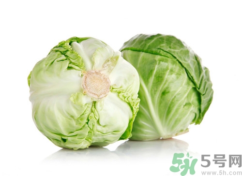 吃包菜會胖嗎?包菜的熱量是多少 吃包菜會胖嗎?包菜的熱量是多少