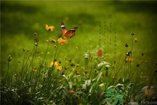 處暑代表什么?處暑的時(shí)間代表什么? 處暑代表什么?處暑的時(shí)間代表什么?