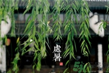 處暑代表什么?處暑的時(shí)間代表什么? 處暑代表什么?處暑的時(shí)間代表什么?