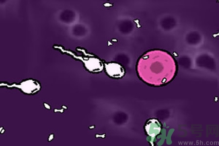 什么是宮內(nèi)節(jié)育器？放置宮內(nèi)節(jié)育器為什么能避孕？