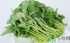 吃莧菜會(huì)長(zhǎng)胖嗎?野莧菜的熱量高嗎 吃莧菜會(huì)長(zhǎng)胖嗎?野莧菜的熱量高嗎